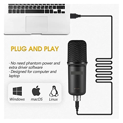 ss1/i46574 USB Microphone