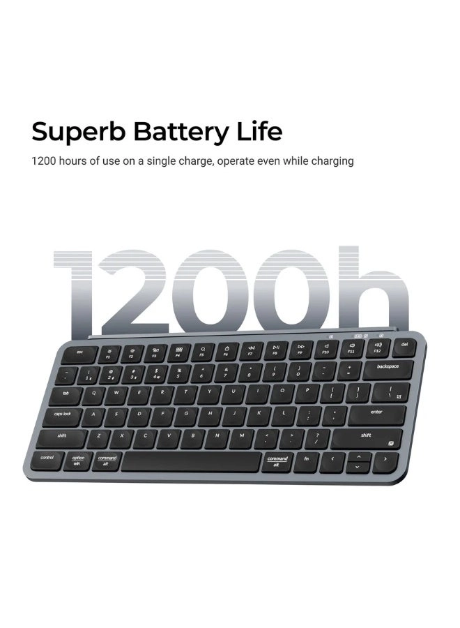 B1 Pro - Arabic Wireless