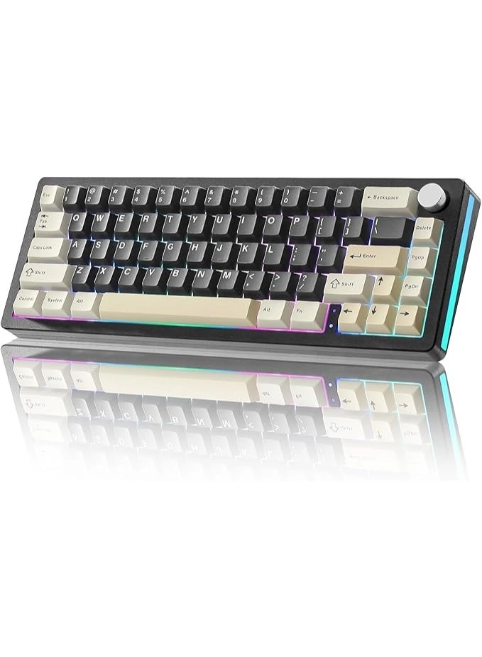 AL66 - 65% Wired/Wireless