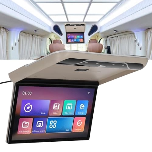 Car Roofmount LCD Monitor - 19 Inches