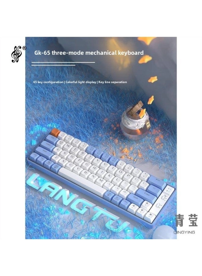 Generic L1 - Wired/Wireless