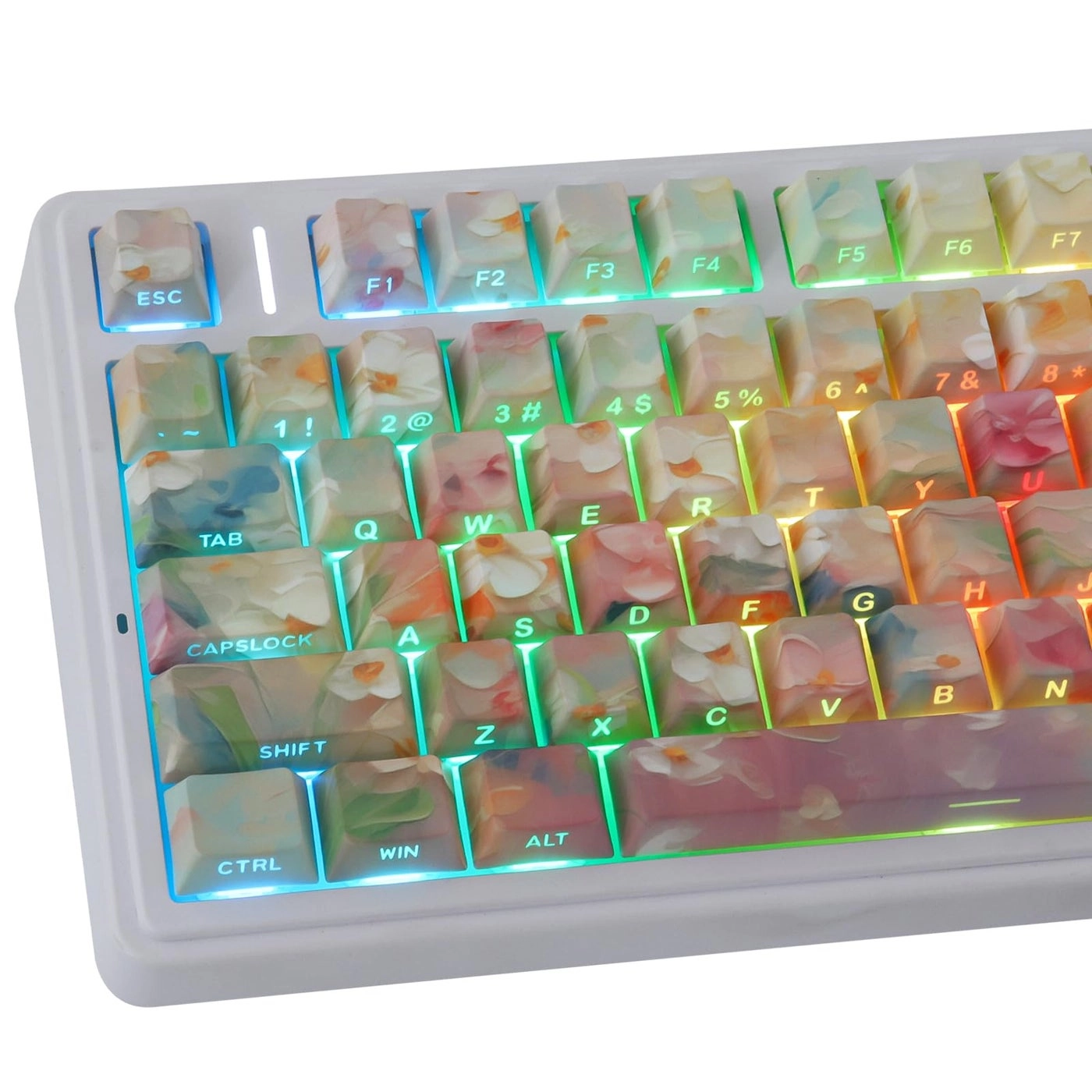 JOMKIZ Garden Oil Painting PBT Keycap Set