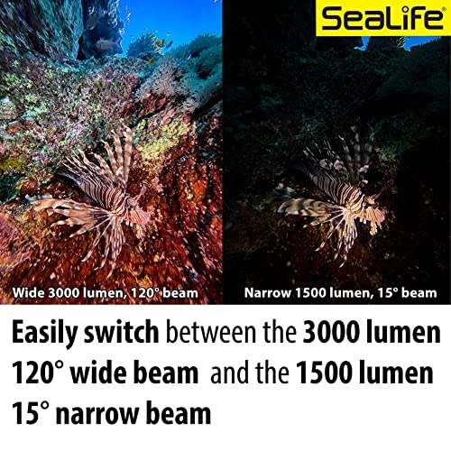 Sea Dragon 3000SF Pro - 120 deg