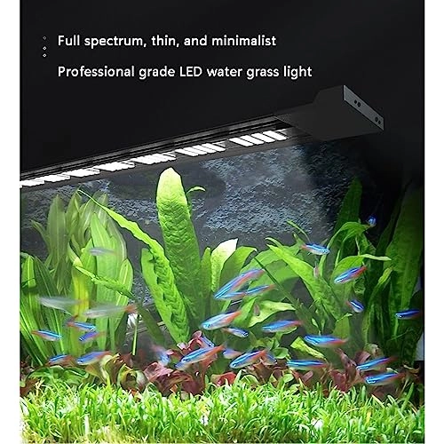 Underwater Diving Light