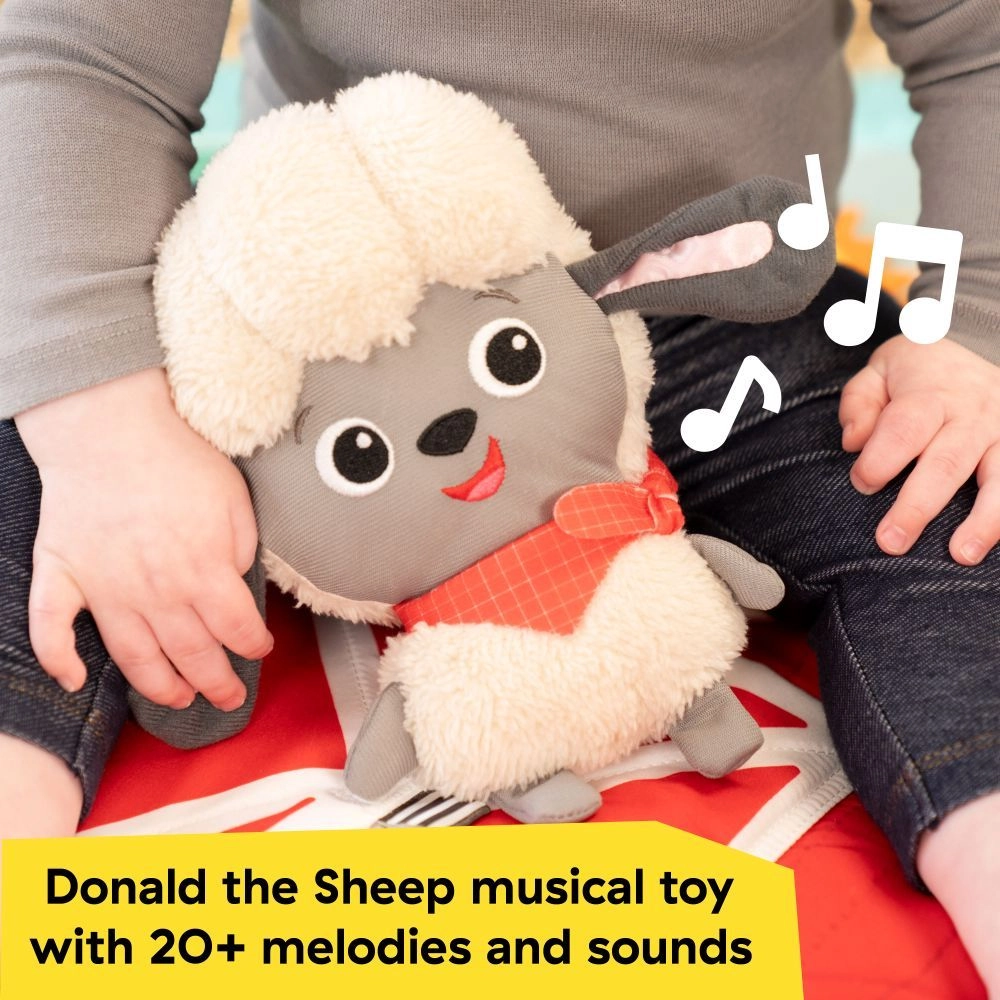 Happy Harvest Touch & Feel Activity Gym - 0+ months