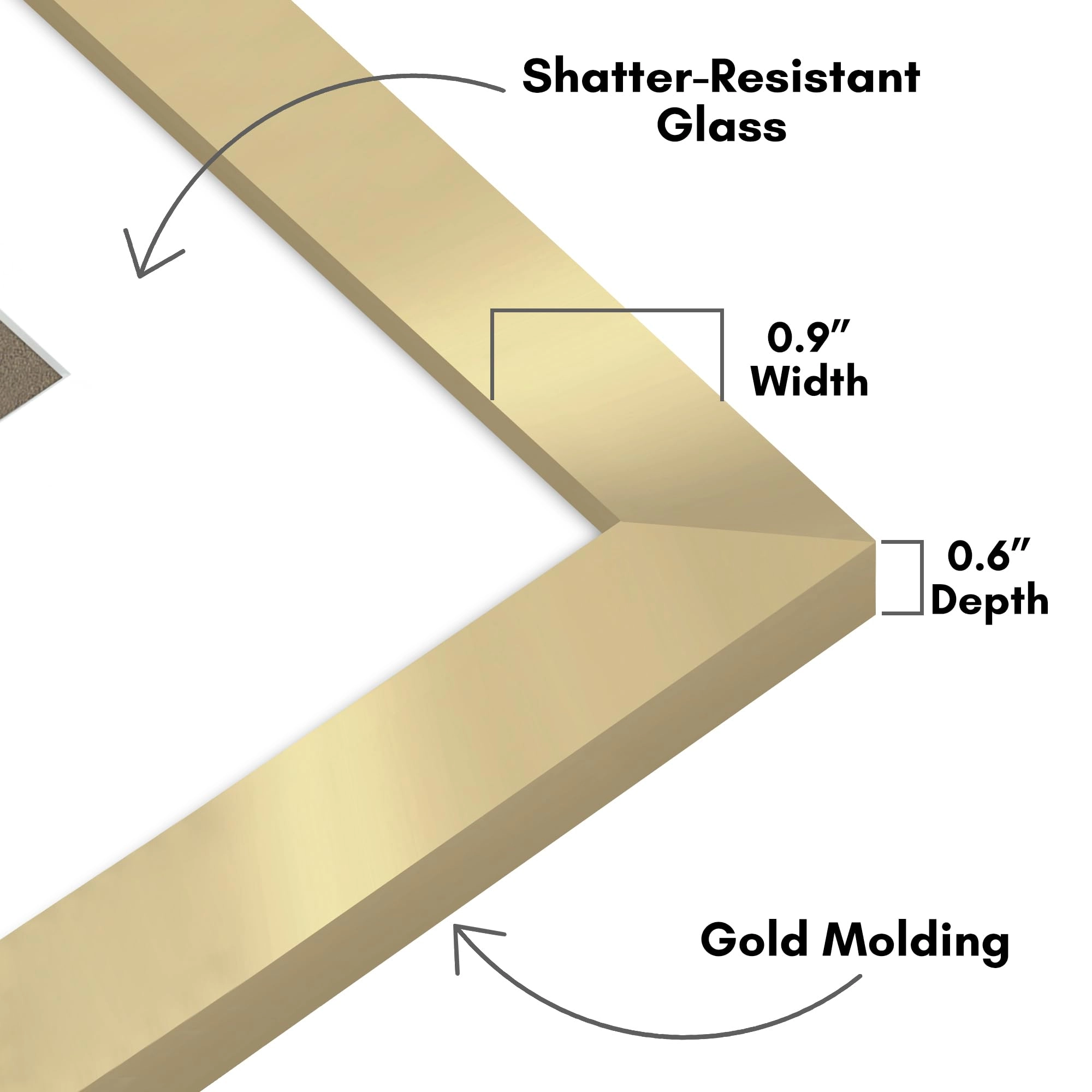Picture Frame - 8x12 1