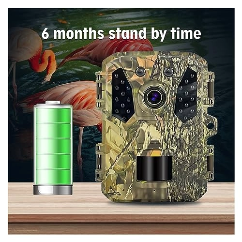 Wildlife Camera - 20MP