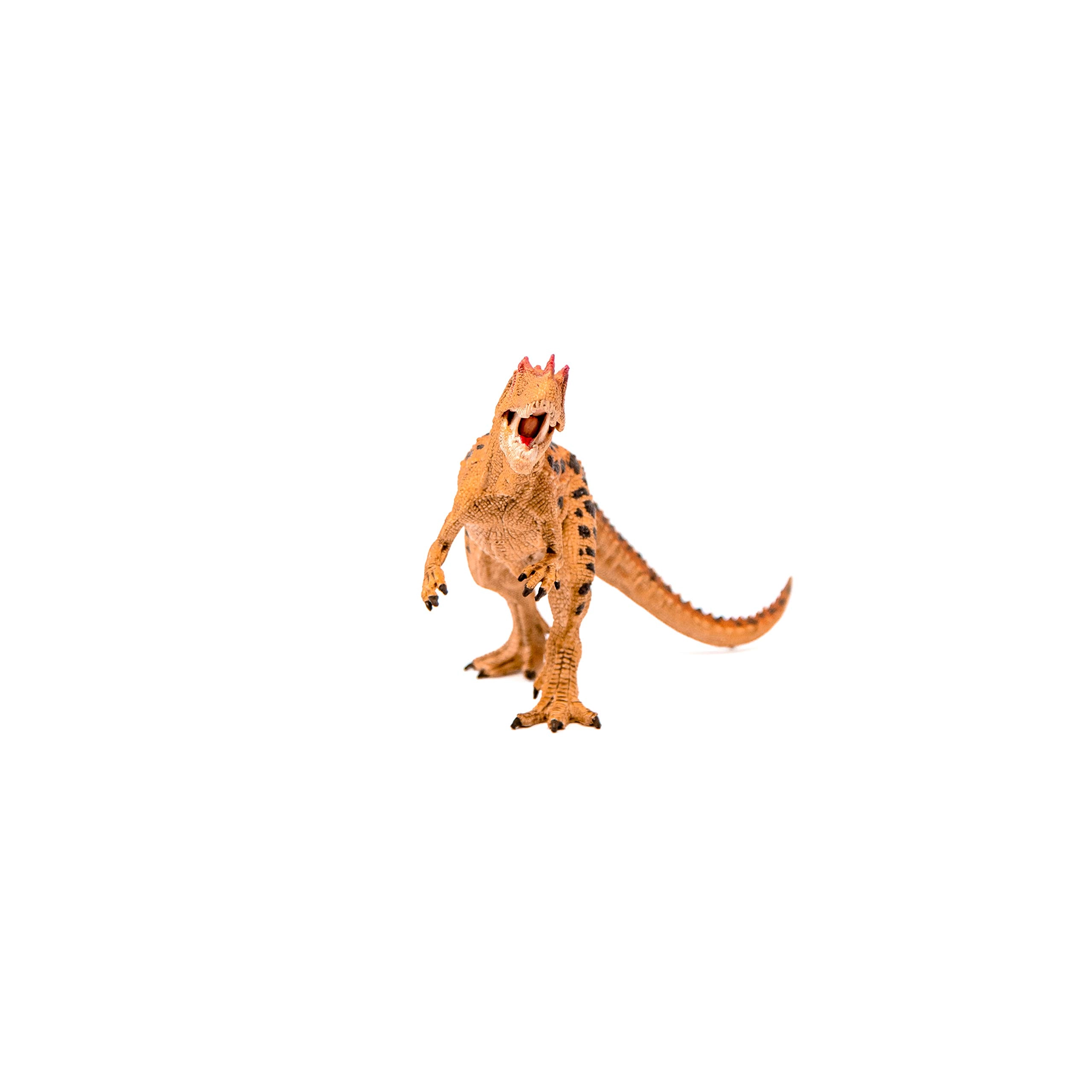 Ceratosaurus - 48.0 dinosaurs 1