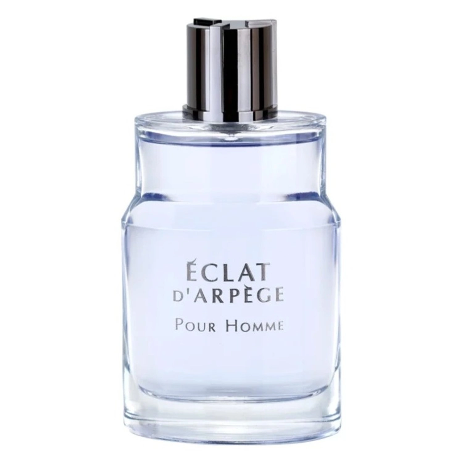 Eclat D Arpege Pour Homme Eau de Toilette 100ml