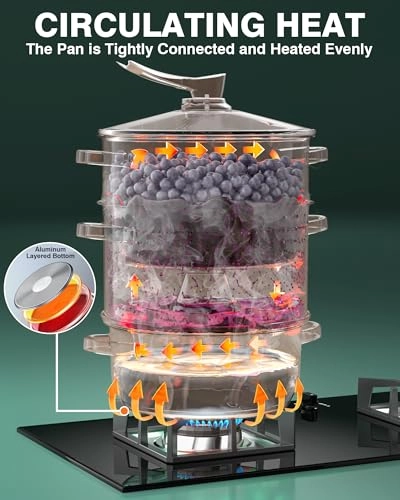 Steam Juicer Extractor - 11 Quarts