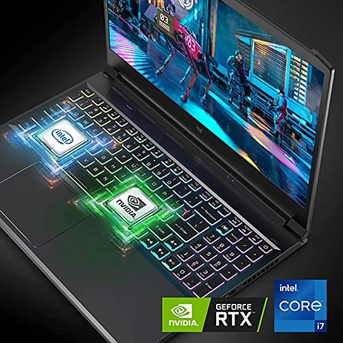 Predator Triton 300 PT315-53 - 15.6'' Core i7-11800H 64GB DDR4 4TB SSD