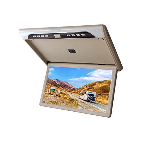 Car Ceiling Display - 19 Inch