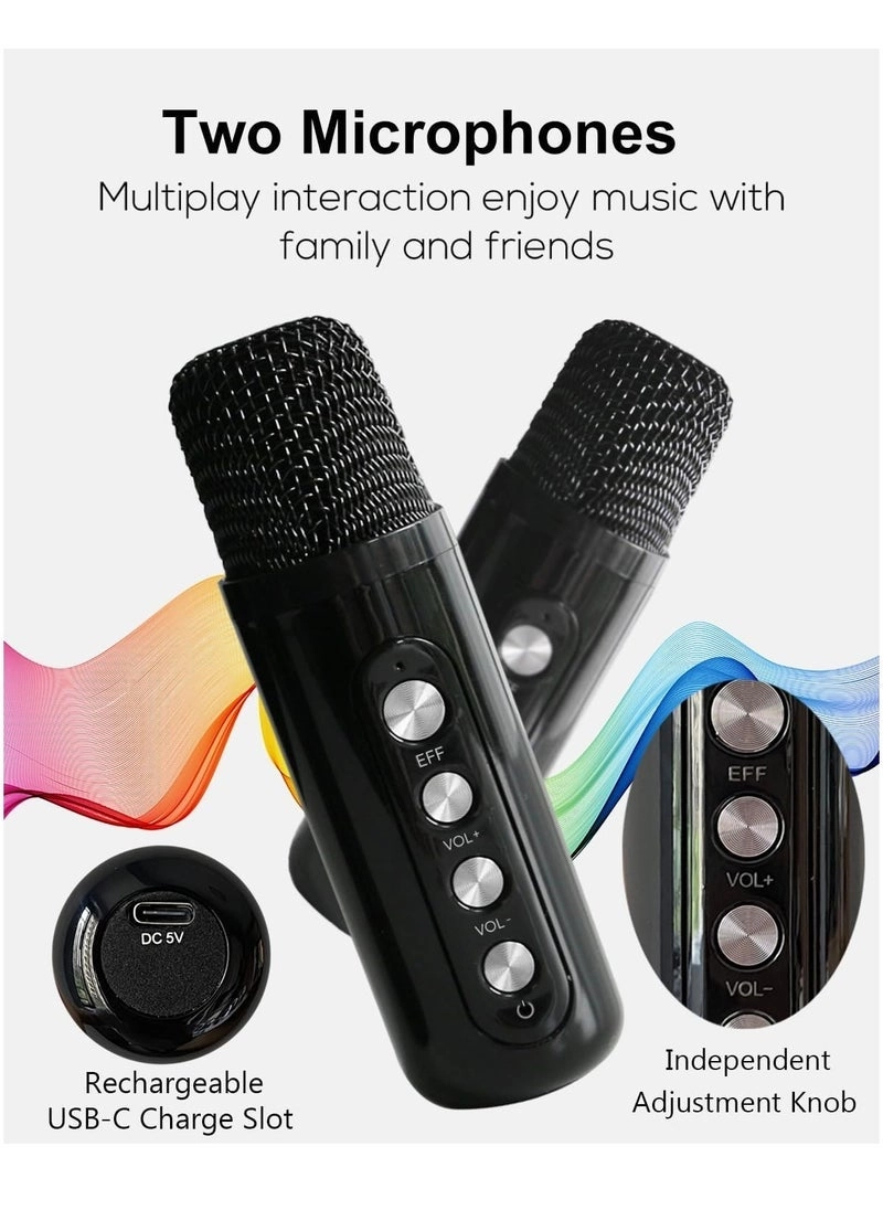 MMF-307 - 2 x Handheld Wireless Microphones 10W