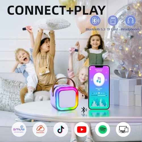K12 - 2 Wireless Microphones