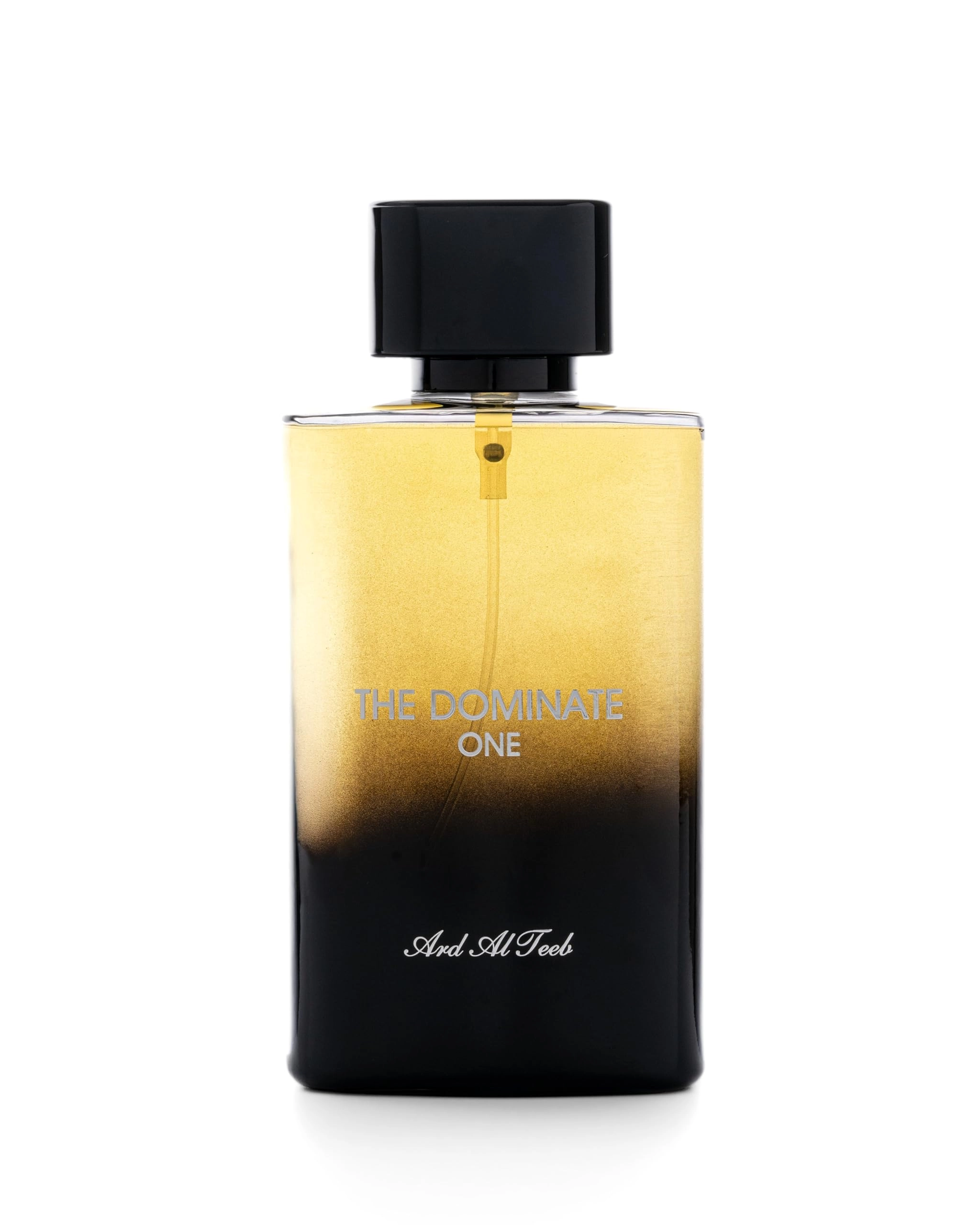 Breezy For Man Eau de Parfum 100 ml