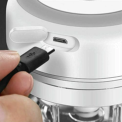 Mini Crusher Chopper - 100 ML USB Charging