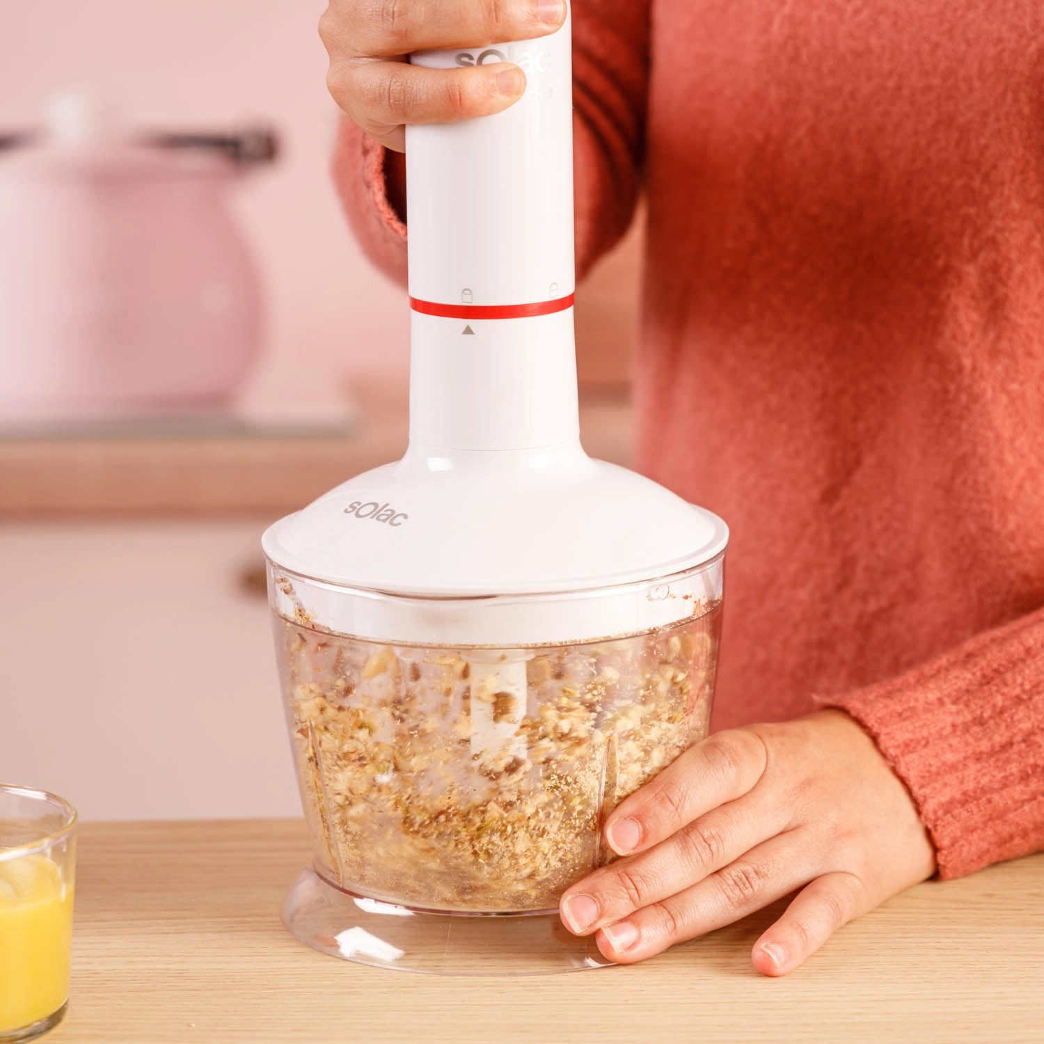 Hand Blender - 1000 W