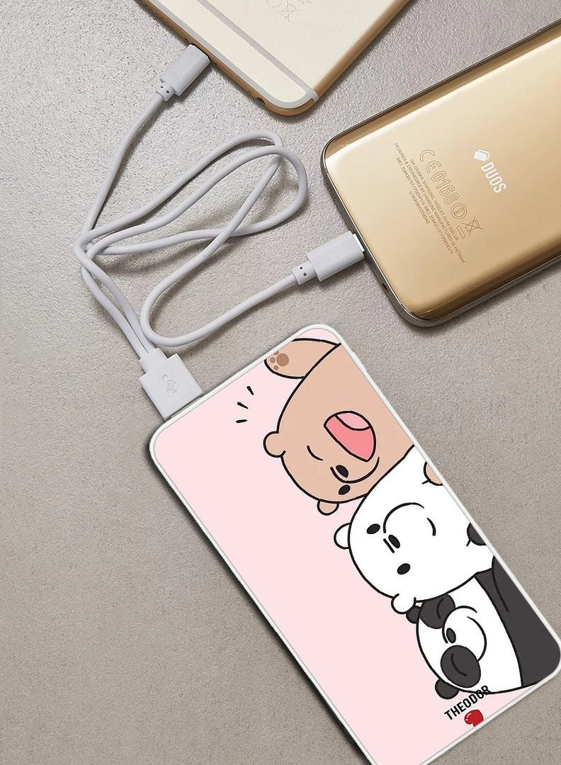 EX_PPBA622 - 10000 Watt-hour 18W PD