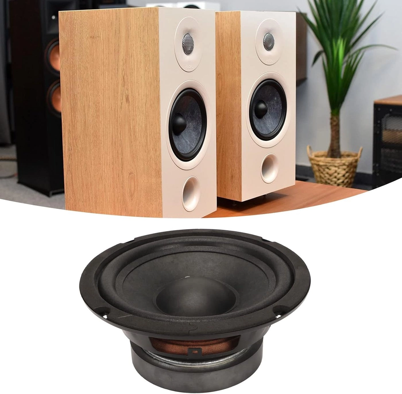 Full Range Speaker - 40W