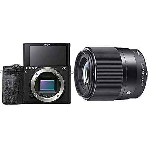 Alpha A6600 + 30mm F1.4 Contemporary