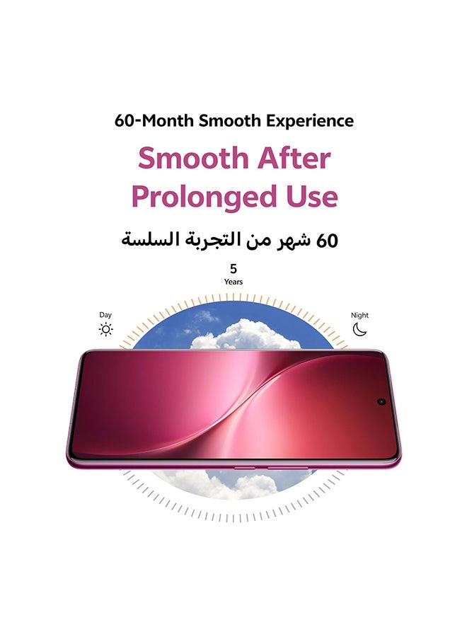 V60 - 12 GB 256 GB Bundle