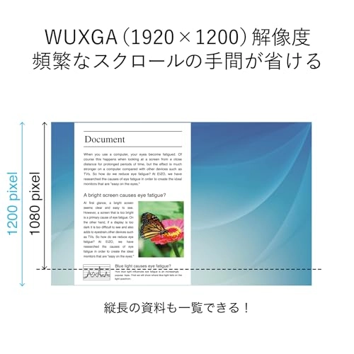 EV2360 - EV2360-WT 22.5 inch 1920 x 1200 pixels
