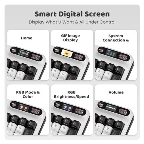 Z98 - Wired/Wireless