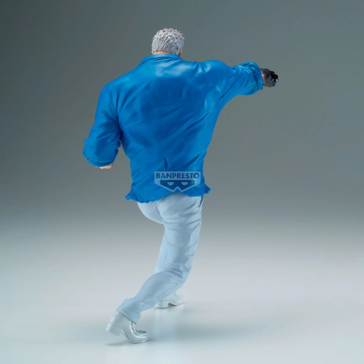 Monkey D.Garp - One Piece Battle Record Collection