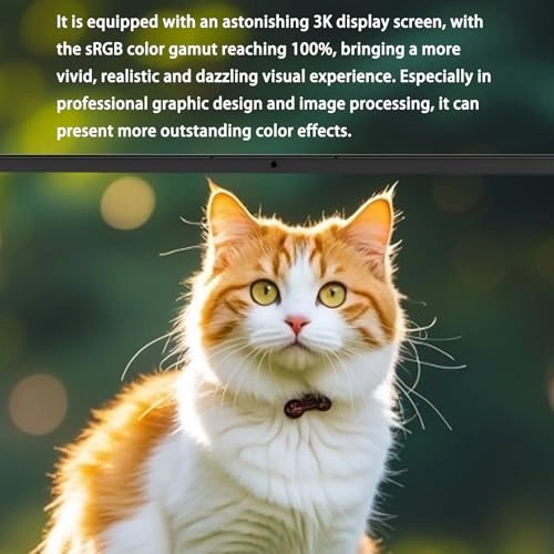 LeadBook T15 - 13.5'' 512GB 16GB Celeron N95