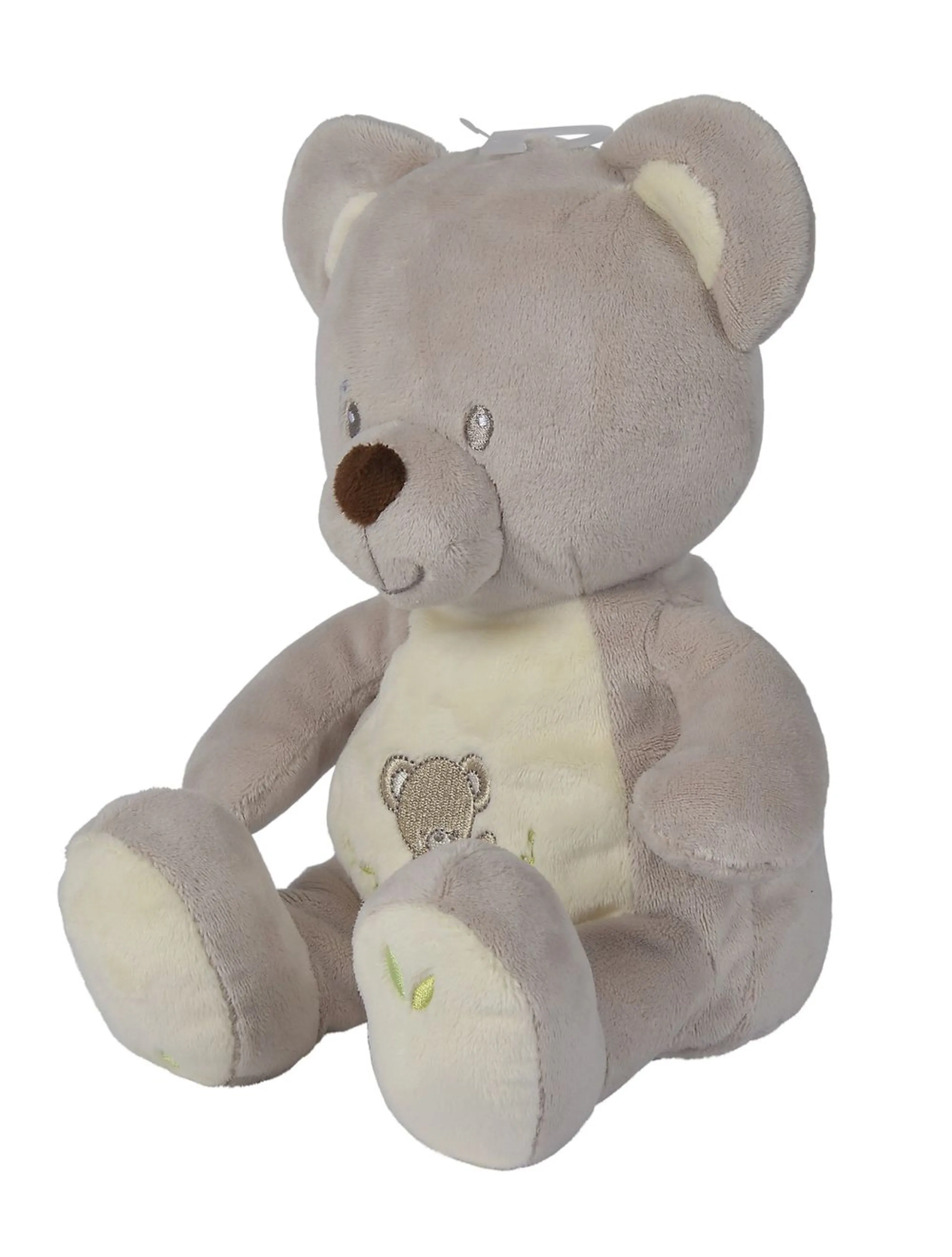 Care Bears Flower Power Bear - 23 cm