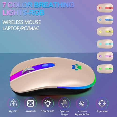 Rechargeable Optical Mouse - Wireless