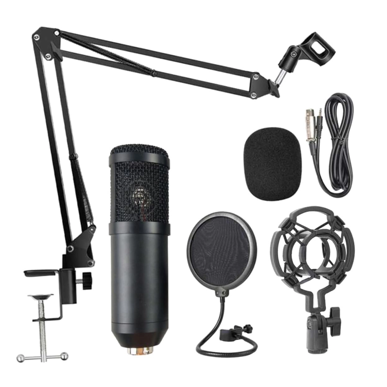 SAFIGLE Multipurpose Wireless+Wired Microphone