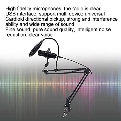 BT95379655 USB Microphone
