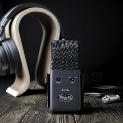 E100SX XLR Microphone