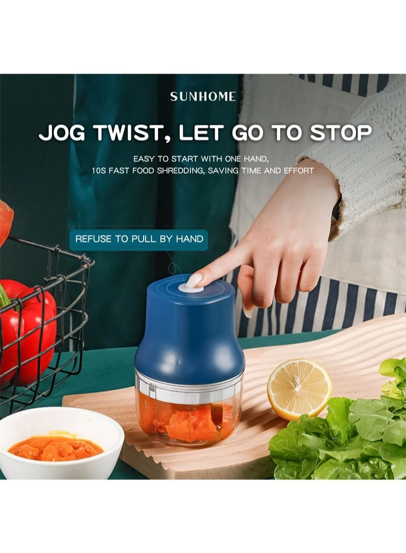 5-In-1 Mixer Grinder - 300 ml 45 W