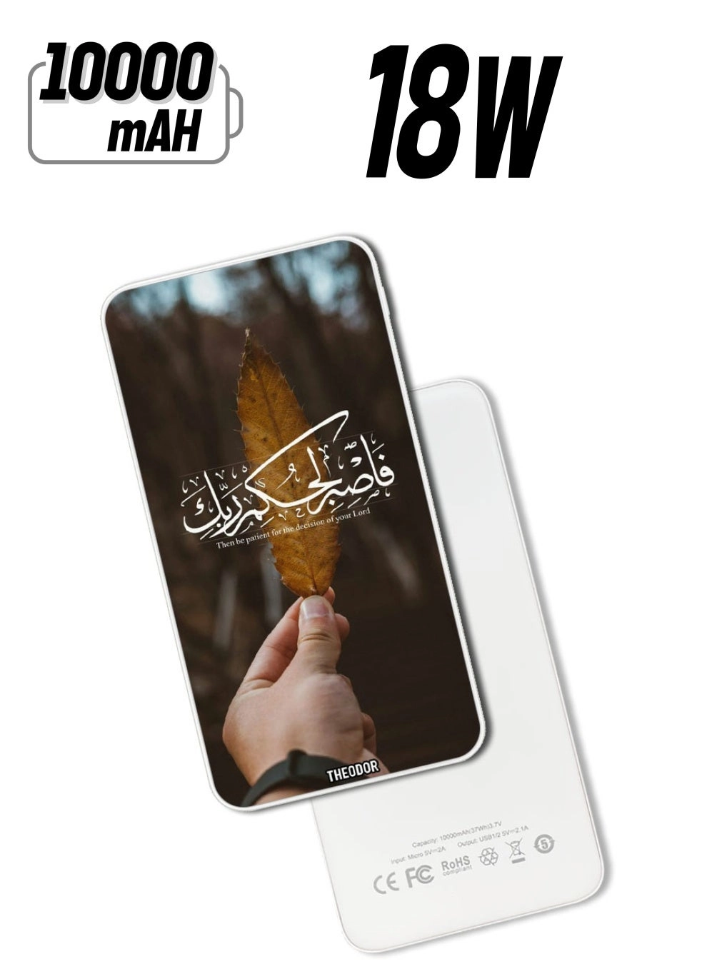 Theodor EX_PPBA036 - 10,000 mAh 18W