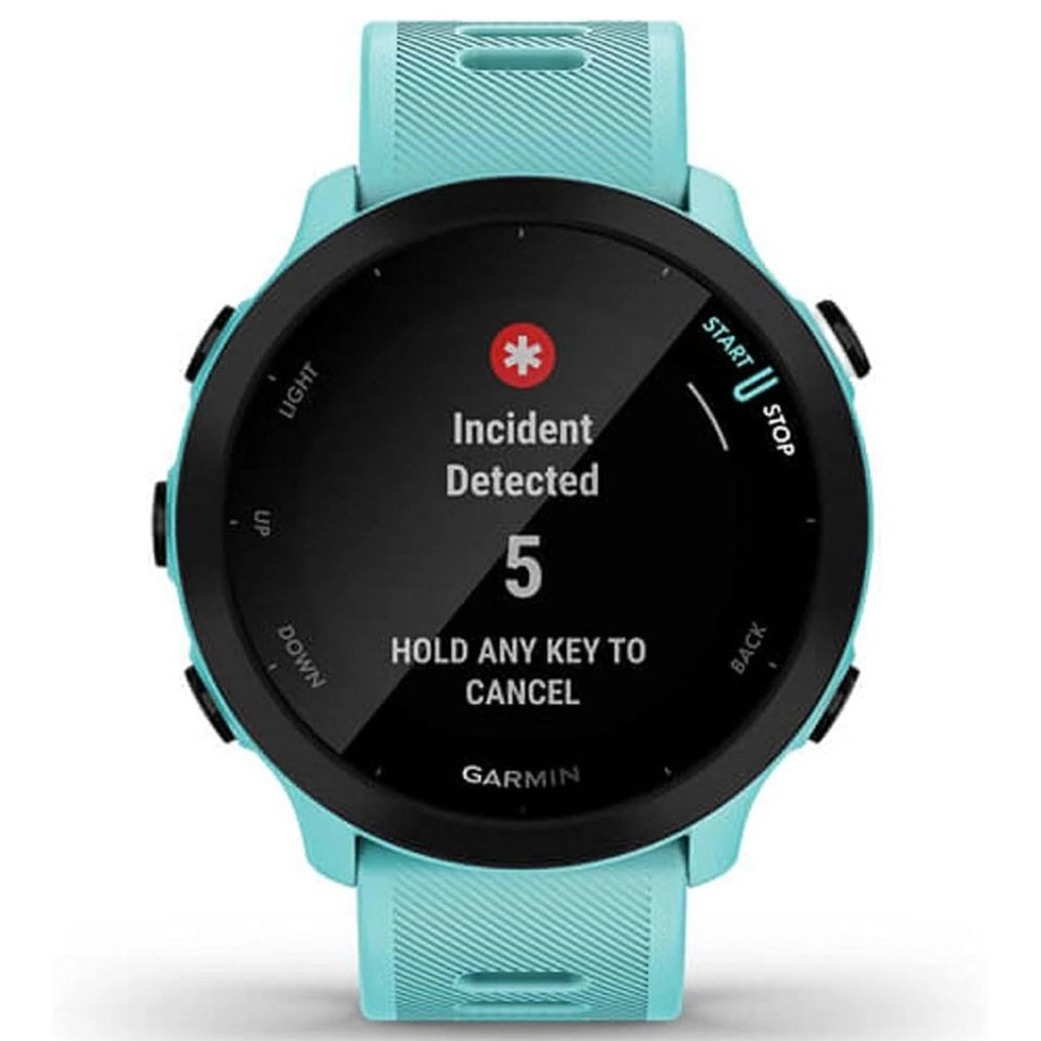 Forerunner 55 42mm Glass GPS