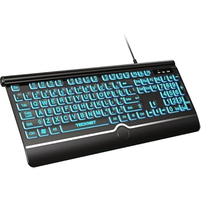 LARGE PRINT BACKLIT KEYBOARD