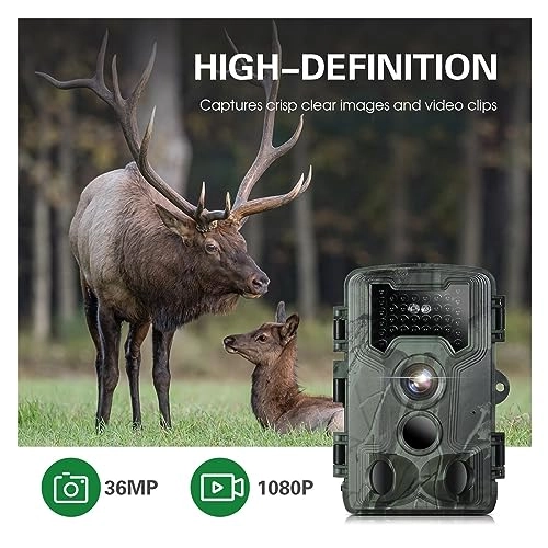 Wildlife Camera - 8MP