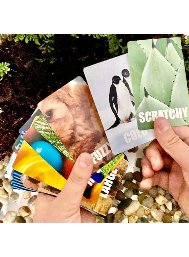Find And Seek - Card Game Outdoor Indoor