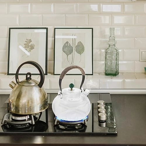 Gooseneck Tea Pot - borosilicate glass 800 ml