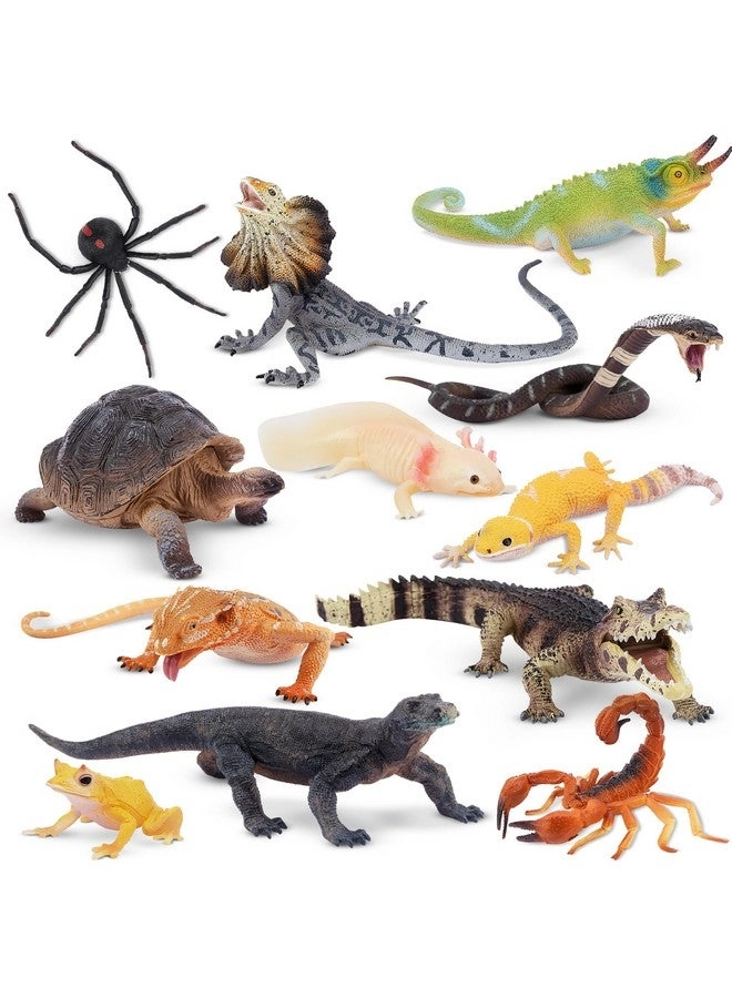 TOYMANY Reptile Animal Figurine Toys Set - Desert Amphibians 12 pcs