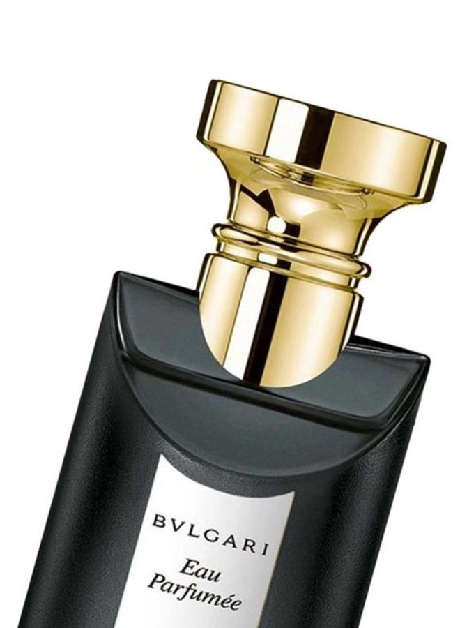 Eau Parfumee The Noir Intense - 75 ml