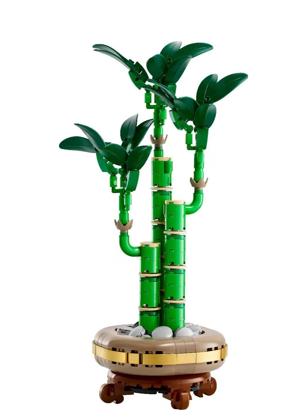 Lucky Bamboo (10344) - Botanicals