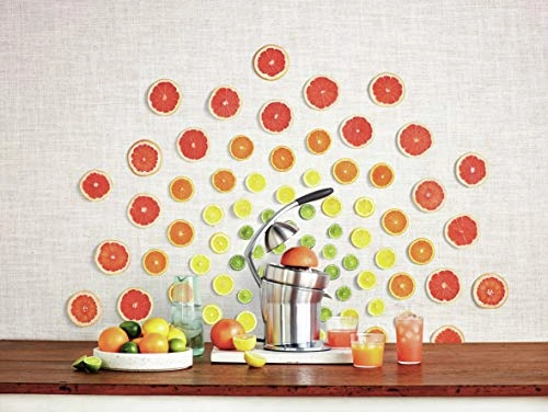 Citrus Press Pro - Brushed Stainless Steel Quadra-Fin juicing cone