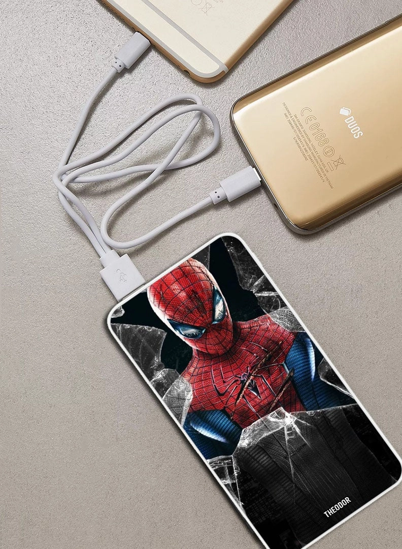 PPBA108 - 10000 mAh 18W