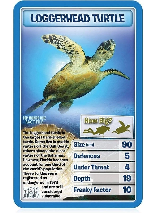 Creatures of The Deep - 6 Plus