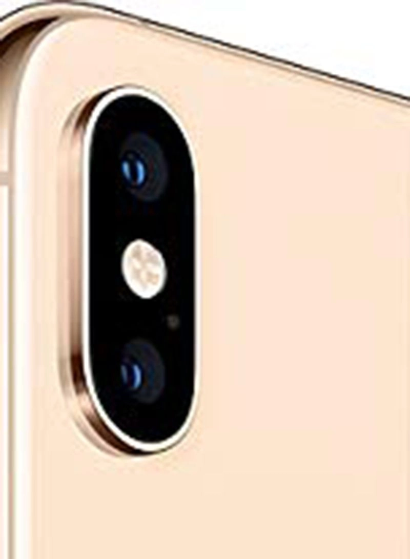 (Renewed) iPhone XS - 256GB