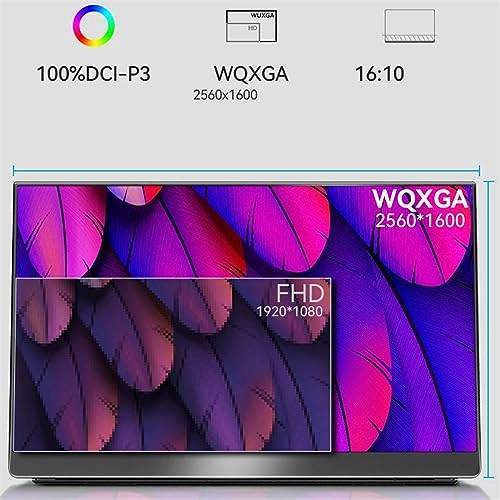 Portable Monitor - 1WLBPJ9KHMTZ 2560*1600 15.6 inches