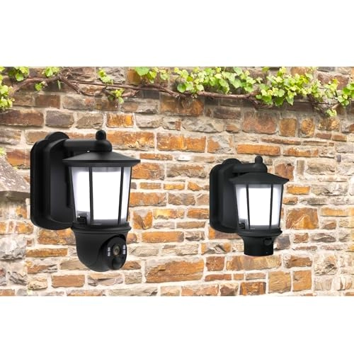 Smart Monitor and Light